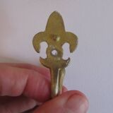 Set of 5 brass hooks with Vintage Fleur de Lys