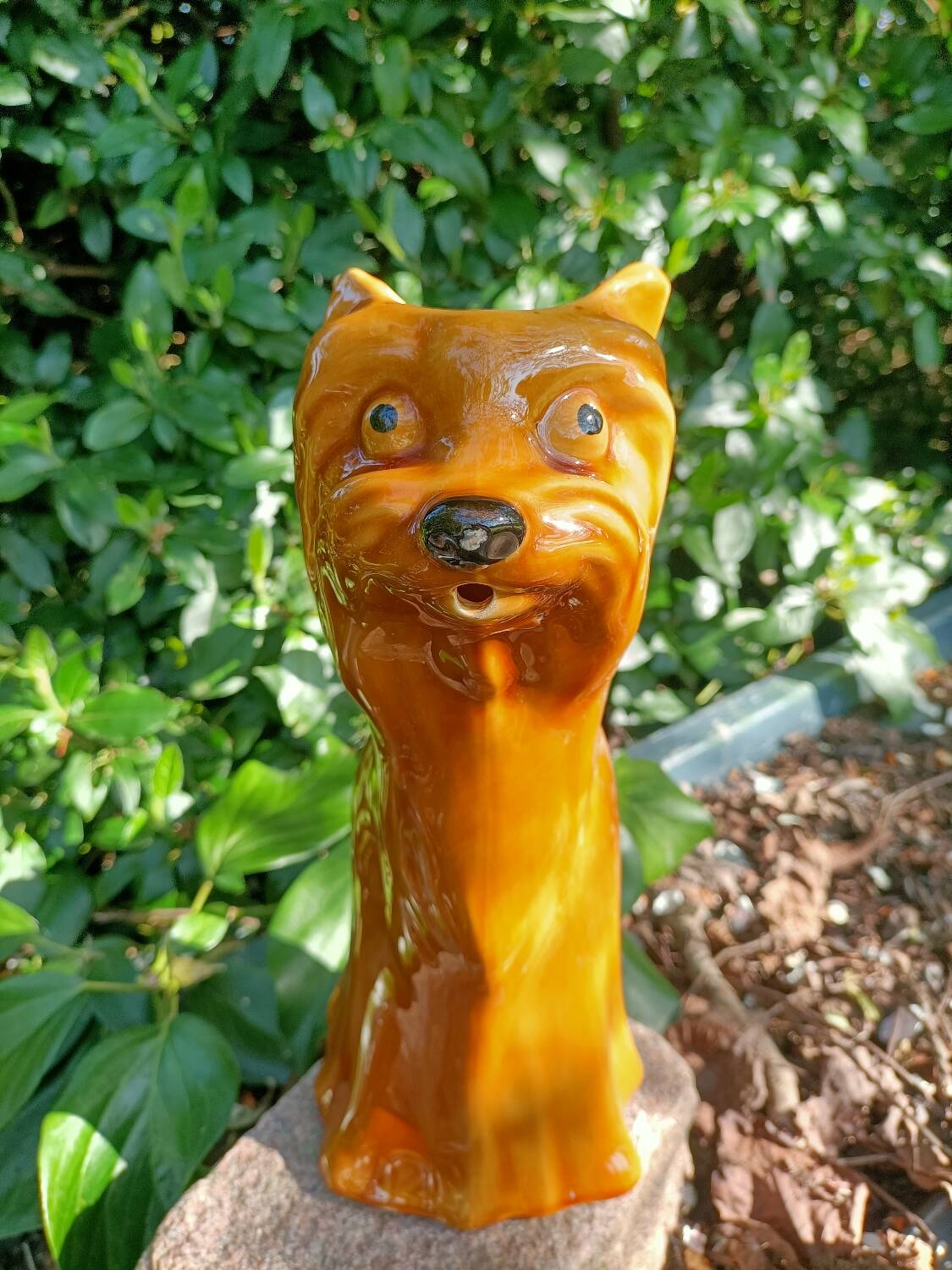 Retro Dog Pitcher/Carafe