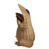 Willow frog Olivier Cajan