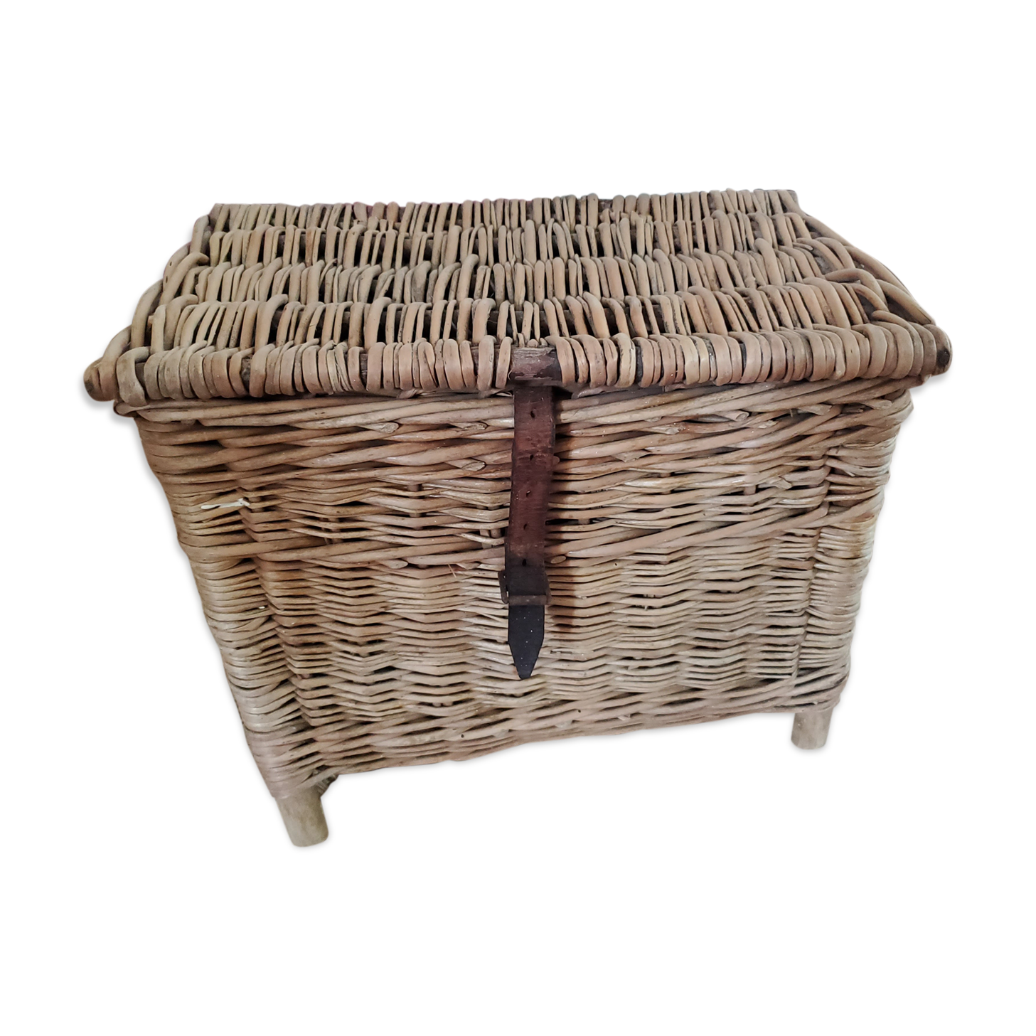 Wicker trunk