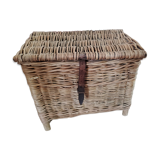 Wicker trunk