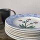 6 mismatched Sarreguemines plates