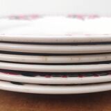 Old flat plates, in earthenware, Céranord St Amand factory