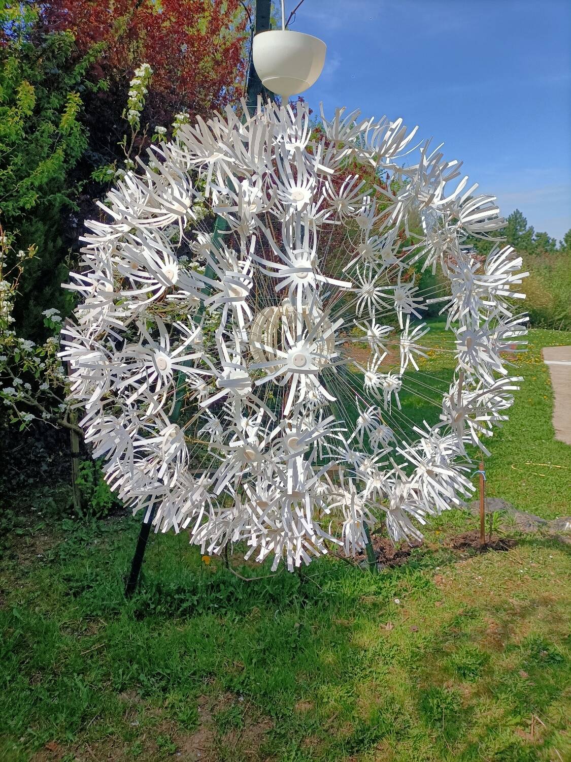 Dandelion pendant light
