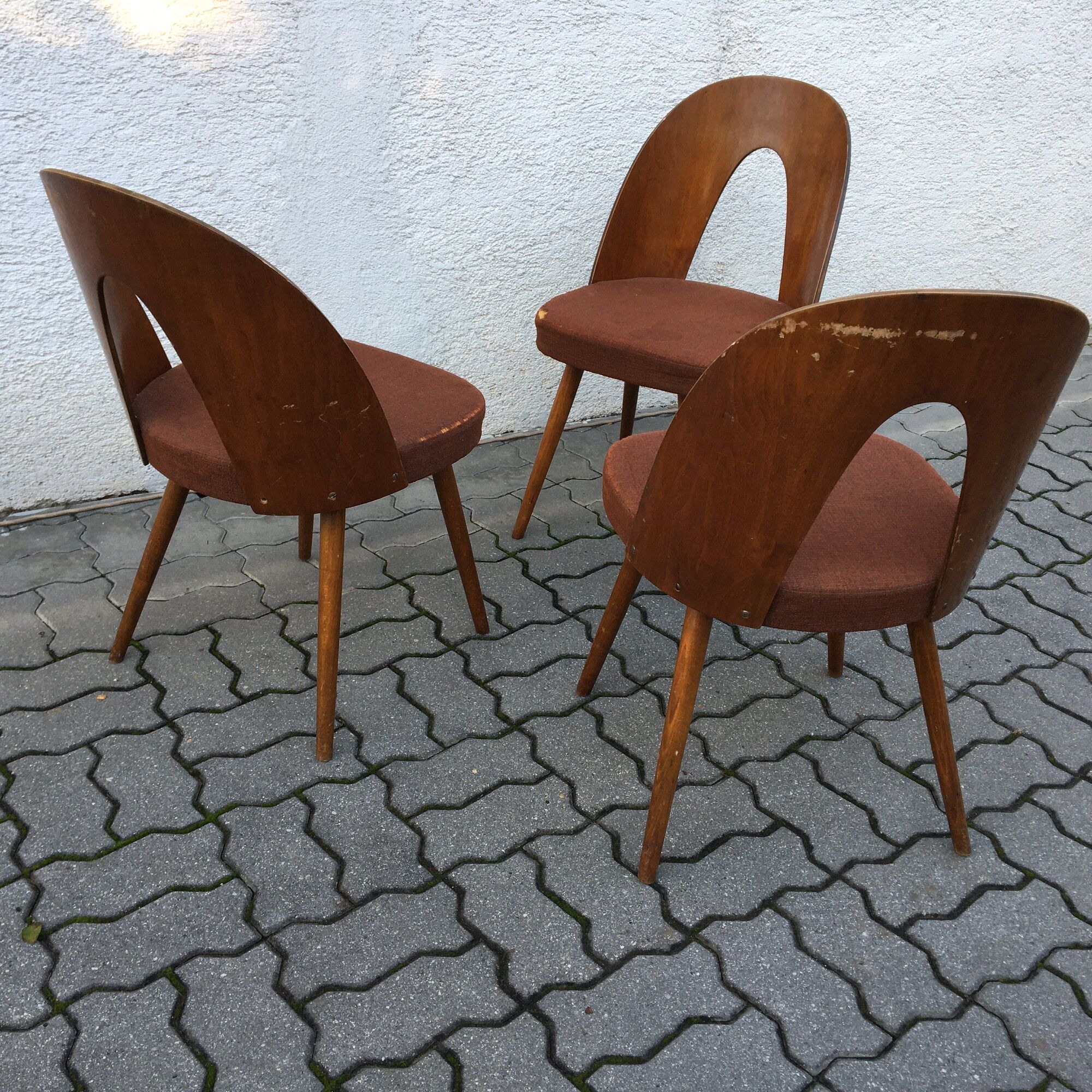 Lot de 3 chaises Lollipop par Antonin Suman, mid century 50s, Tchécoslovaquie