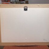 Old Print Engraving 19th Century Anatomy Nose Mouth Plate Head Morphology