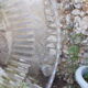 Dish with its Arcoroc plate.