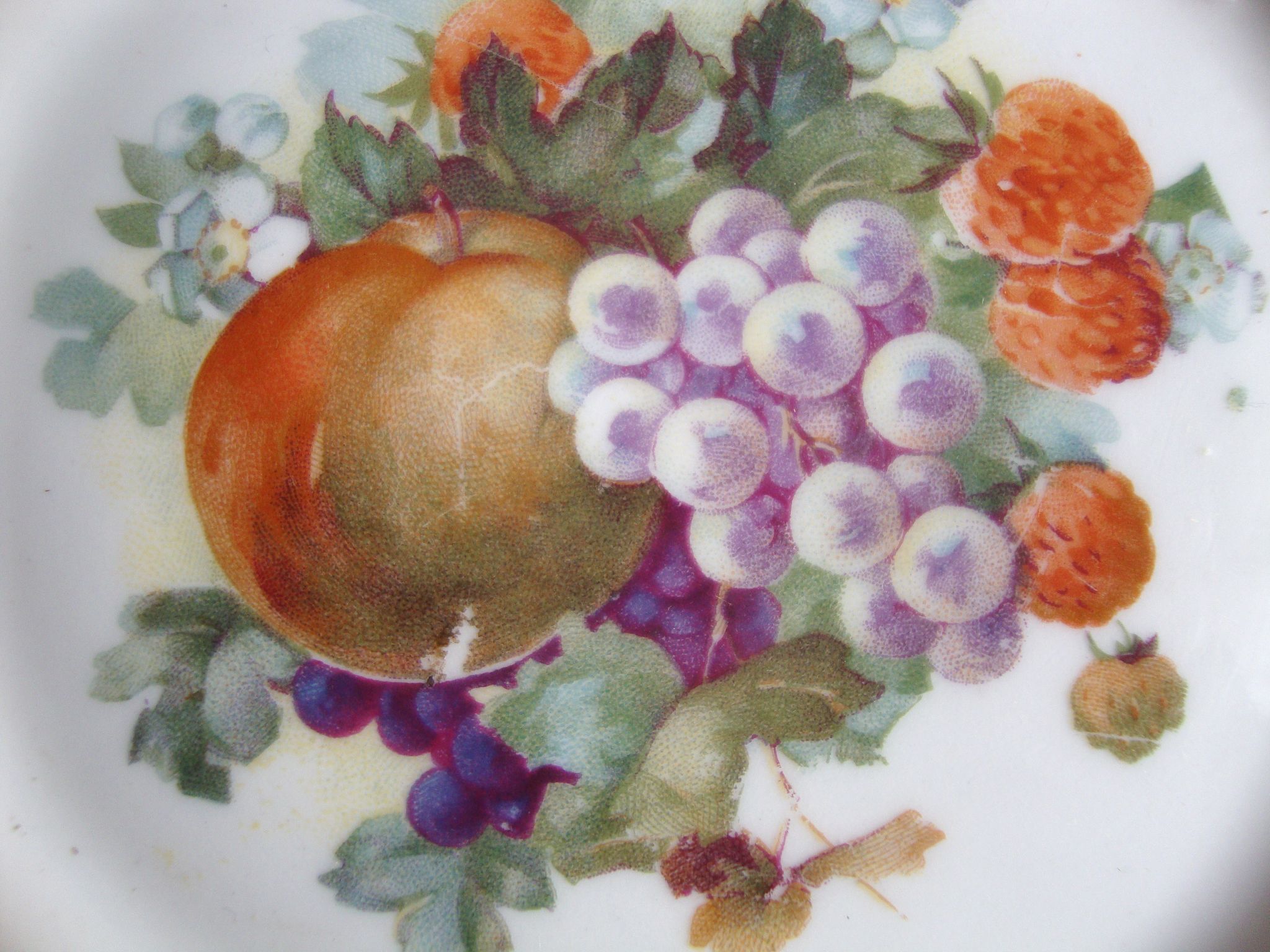 Set of 5 antique Limoges porcelain plates L.J.V with fruit decoration