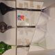Baccarat glasses bouquet model
