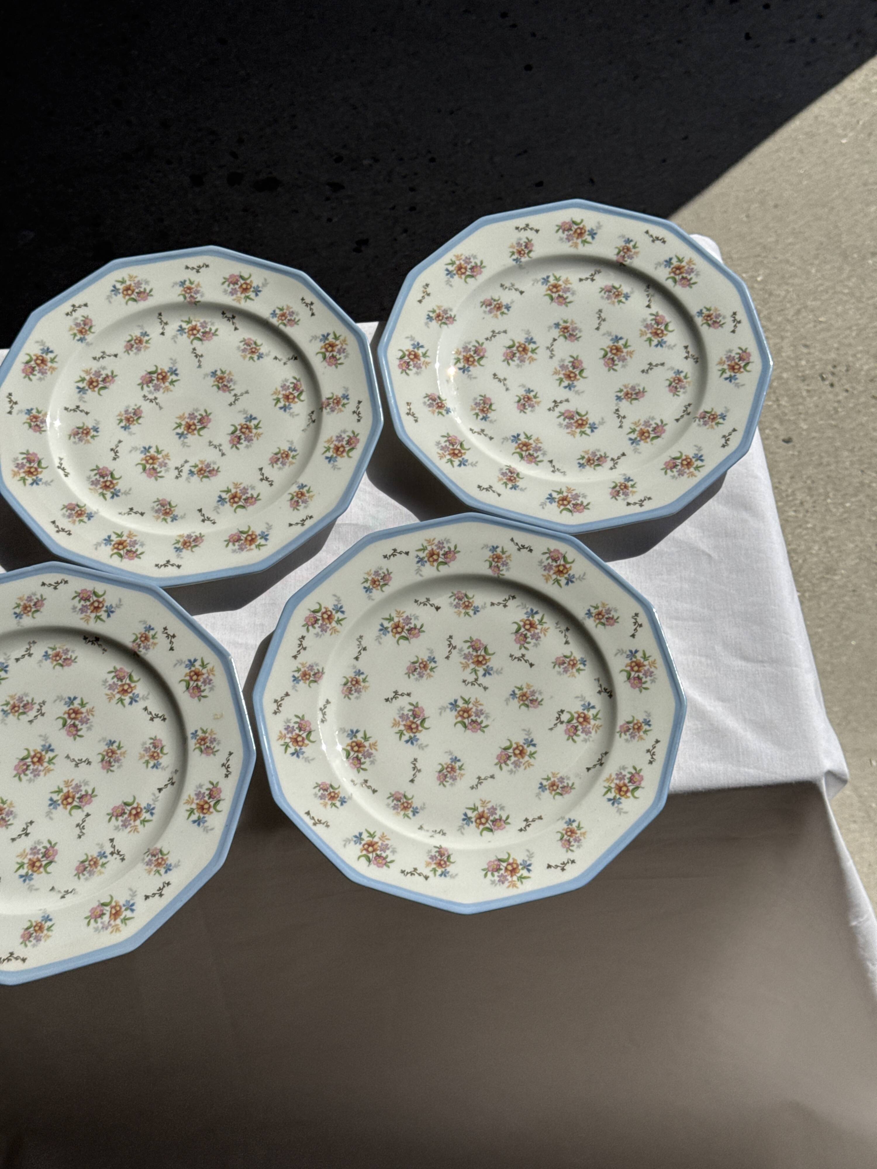 Set of 10 flat plates in Limoges porcelain from France with flowers.