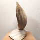 Clam shell lamp