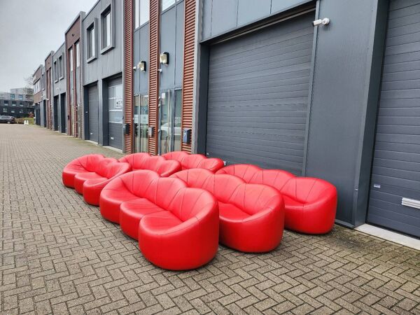 Ligne Roset - canapé 3 places pumpkin (6) par Pierre Paulin