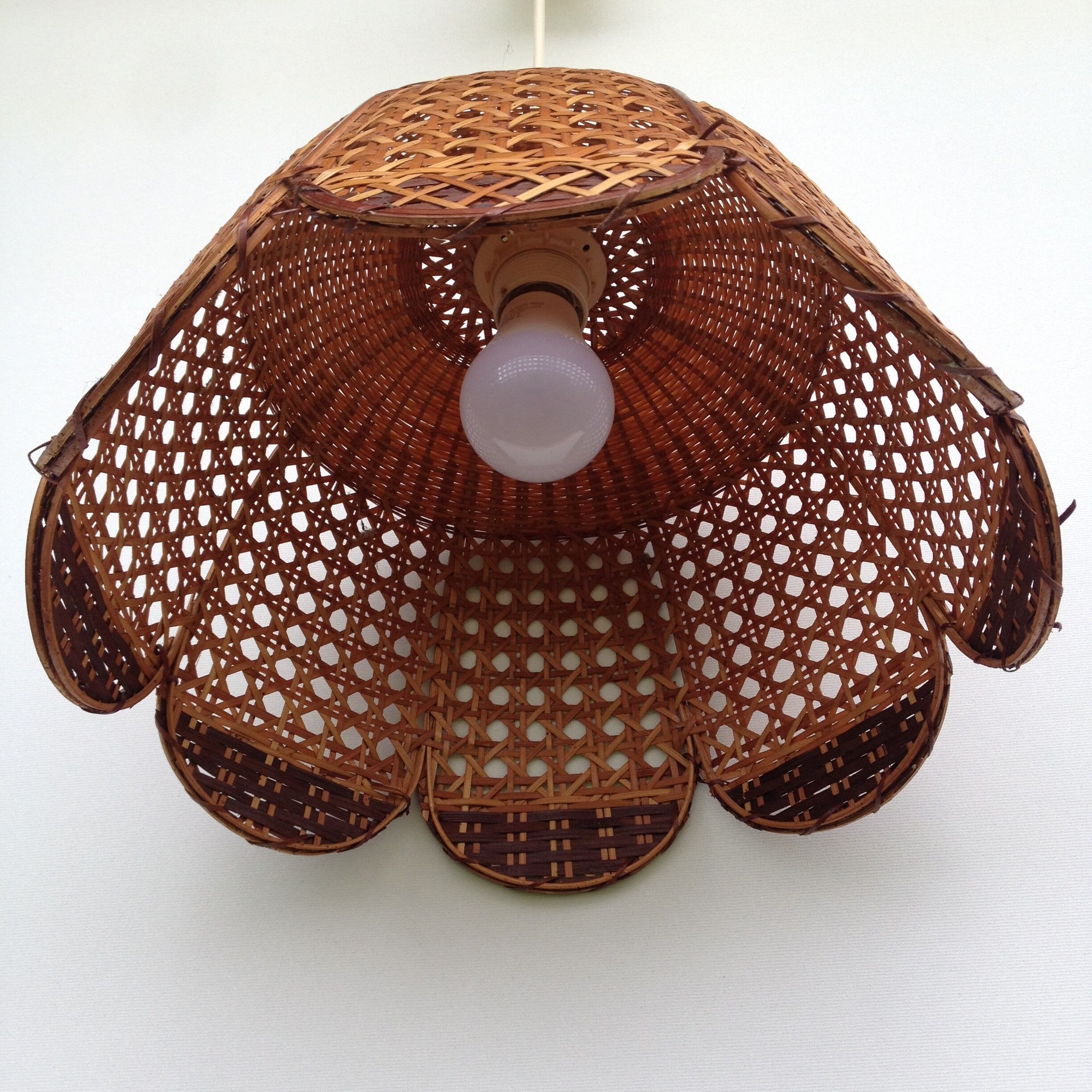 Cane and braided rattan hanging lamp