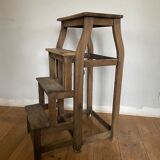 Nineteenth bookcase ladder