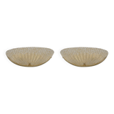 Paire d'appliques coquillages en verre de Murano, style Mid-Century Modern