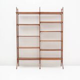 “Aedes” bookcase with shelves by Amma Torino, 1960s