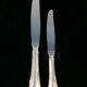12 large knives and 12 knives with dessert christofle model spatours