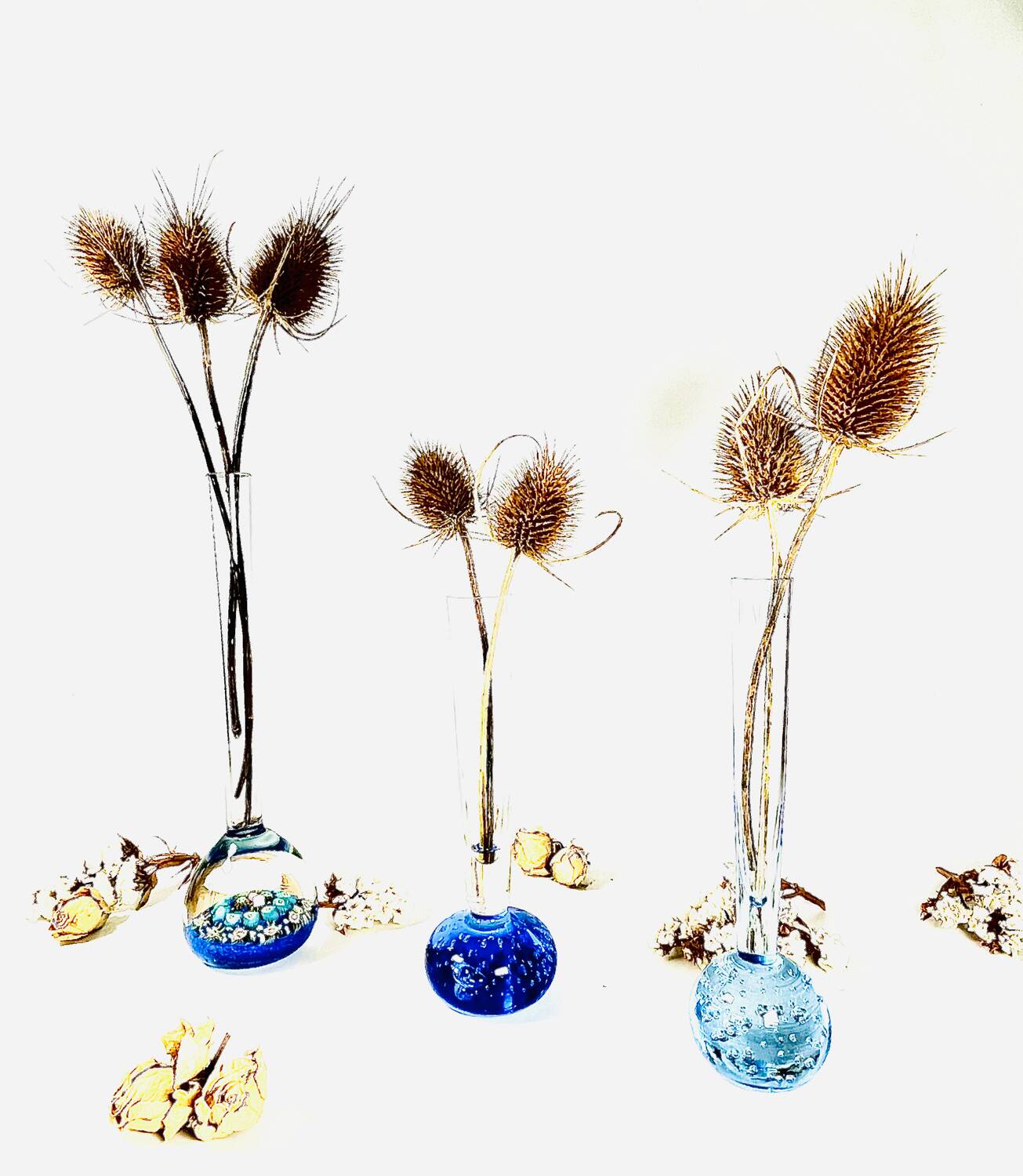 𝗈𝗅𝗂𝖿𝗅𝗈𝗋𝖾𝗌 bleus 𝖺𝗇𝗇𝖾𝖾𝗌 𝟩𝟢