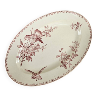 Favorite Sarreguemines oval dish