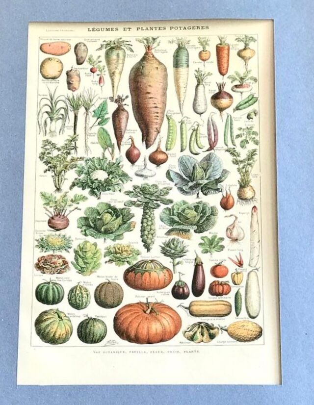 Original vintage board on vegetables