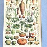 Original vintage board on vegetables