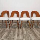 Dining Chairs by Antonin Suman, 1960s, Set of 4