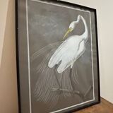 mixed media heron drawing