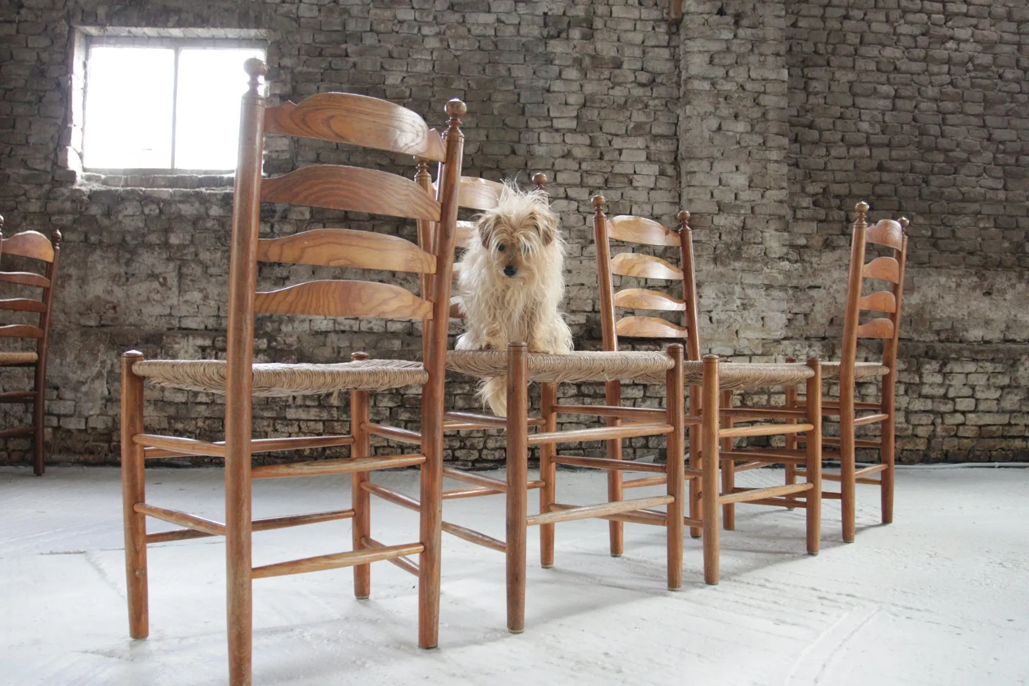 Set of 4 old Dutch oak ladderback chairs with rush seats – 1960s