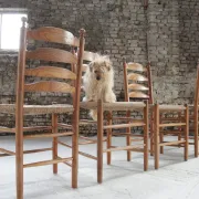 Set of 4 old Dutch oak ladderback chairs with rush seats – 1960s