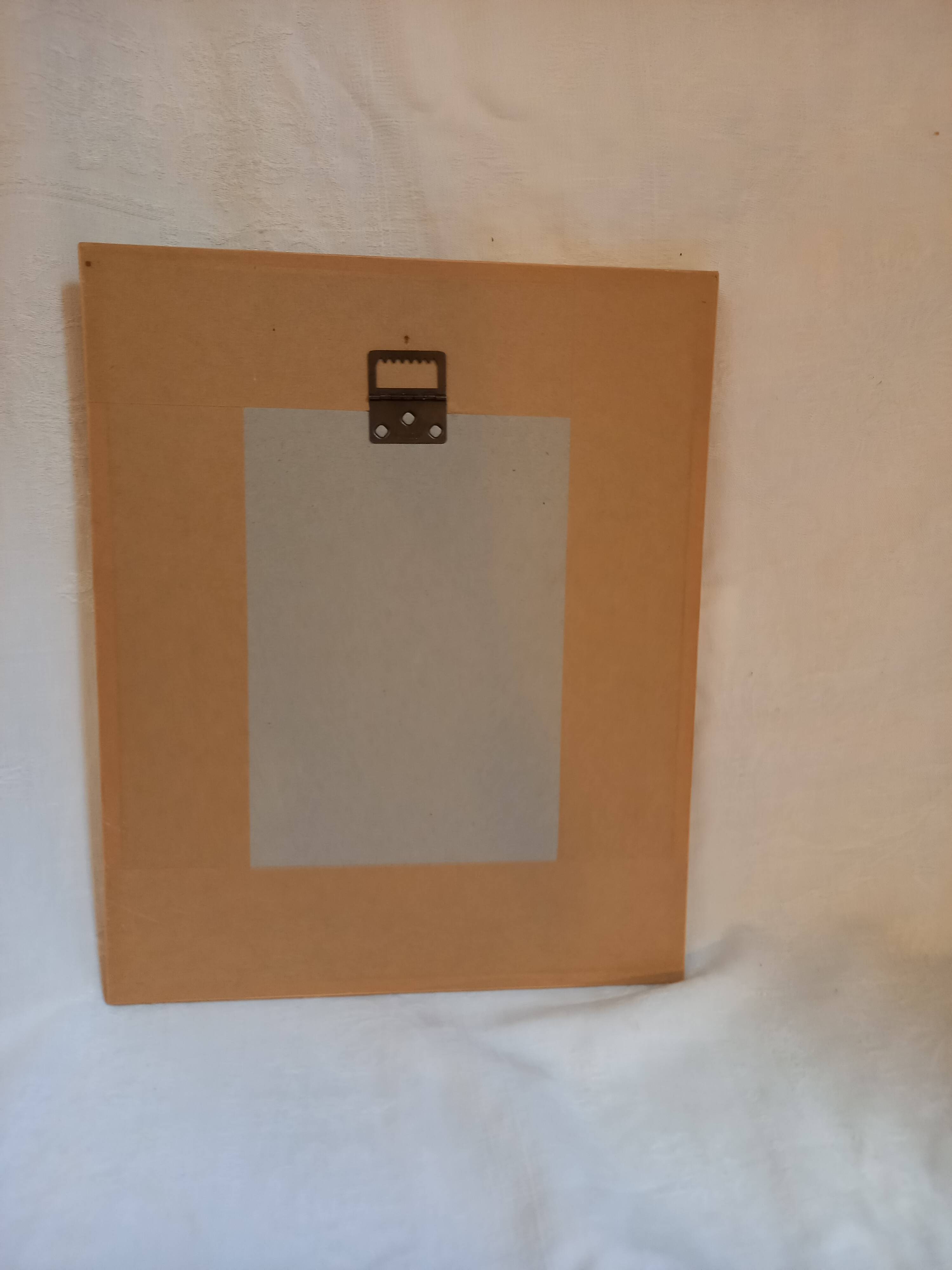 Old botanical plate, framed, representing a flower, queen's strétisia.