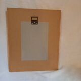 Old botanical plate, framed, representing a flower, queen's strétisia.