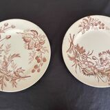 Flat plates iron earth