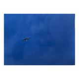 Blue Photography