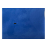 Photographie Bleue