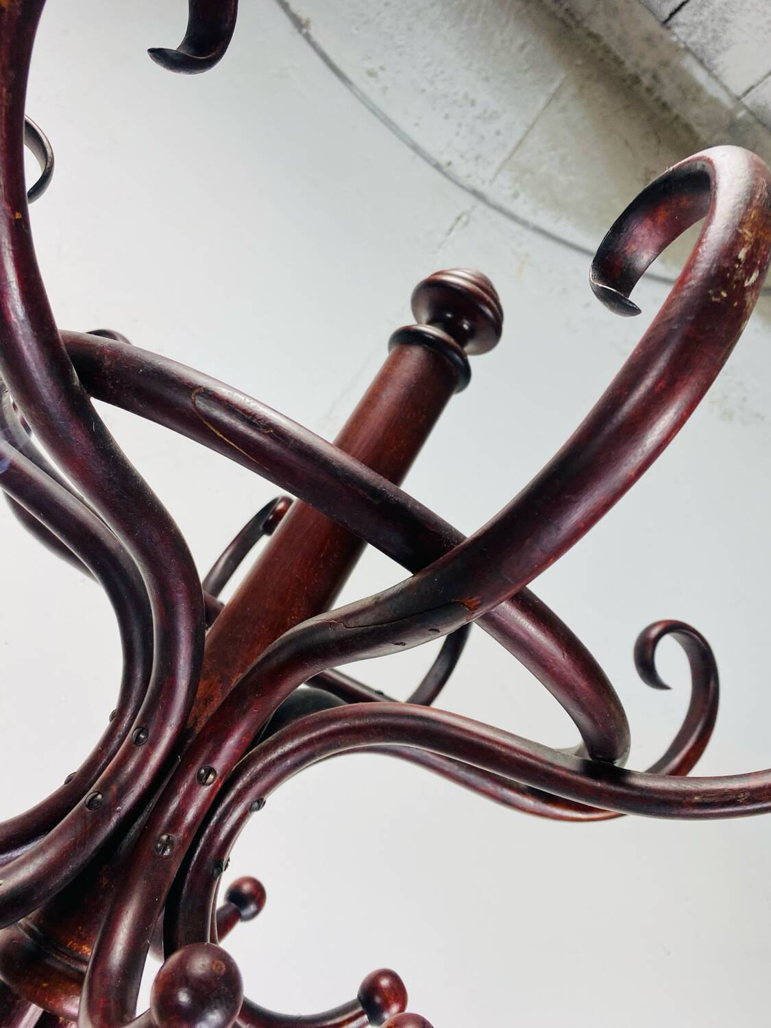 Portemanteau perroquet