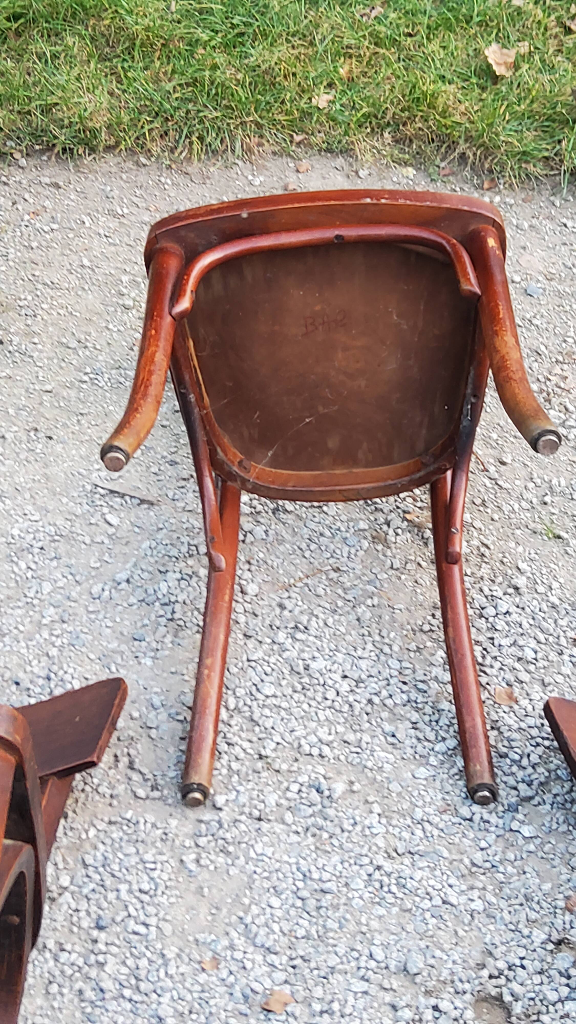 Set of 5 Stella Thonet bistro chairs from the 1950s