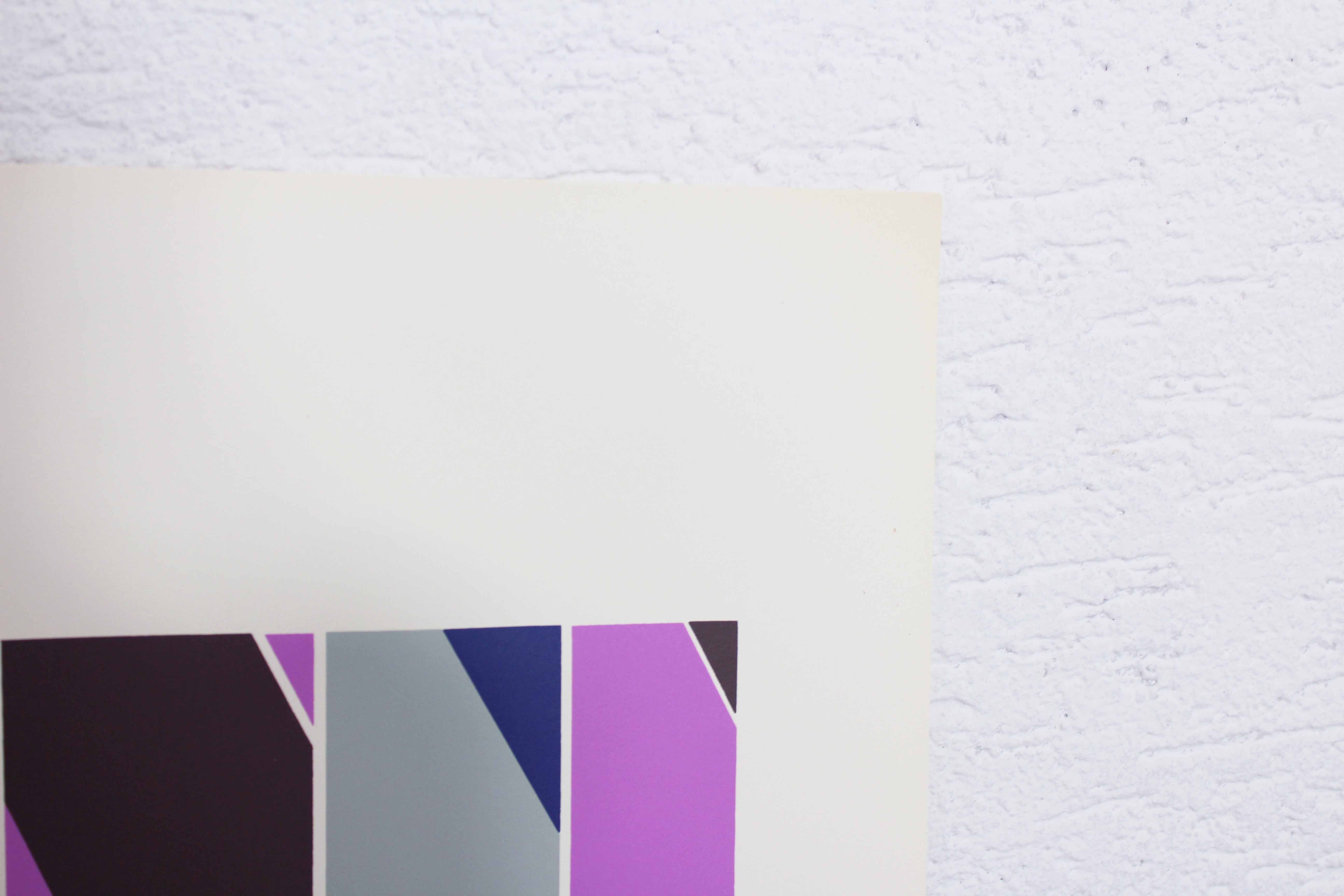 Kern Ruedi Space Age 1972 "Digonales"