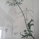 Tableaux