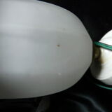 art deco wall lamp porcelain tulip glass