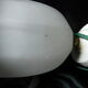 art deco wall lamp porcelain tulip glass