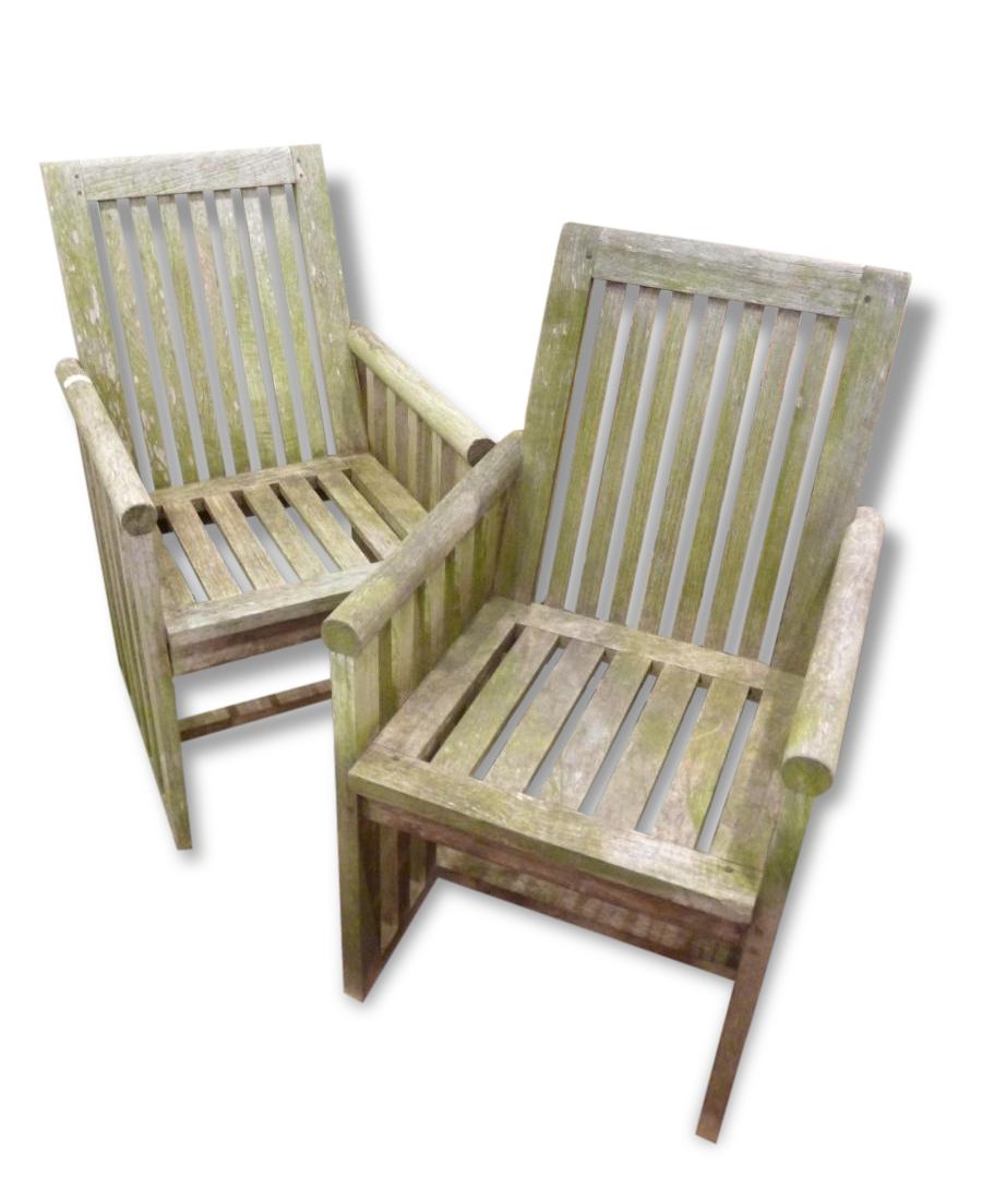 Pair of garden chairs