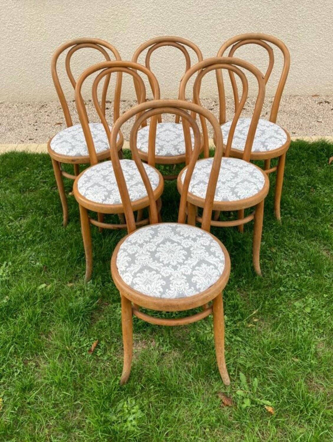 6 Bistro Chairs Fischel Thonet Bent Beech Damask Fabric