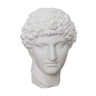 Greek head in matt white plaster