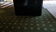 Coffee table in ronce de noyer lancel