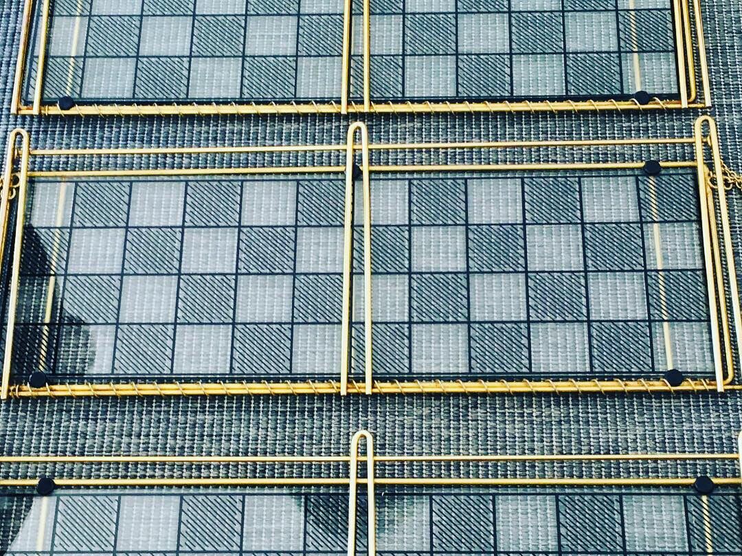 Glass shelves, 1960