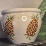 Pineapple planter