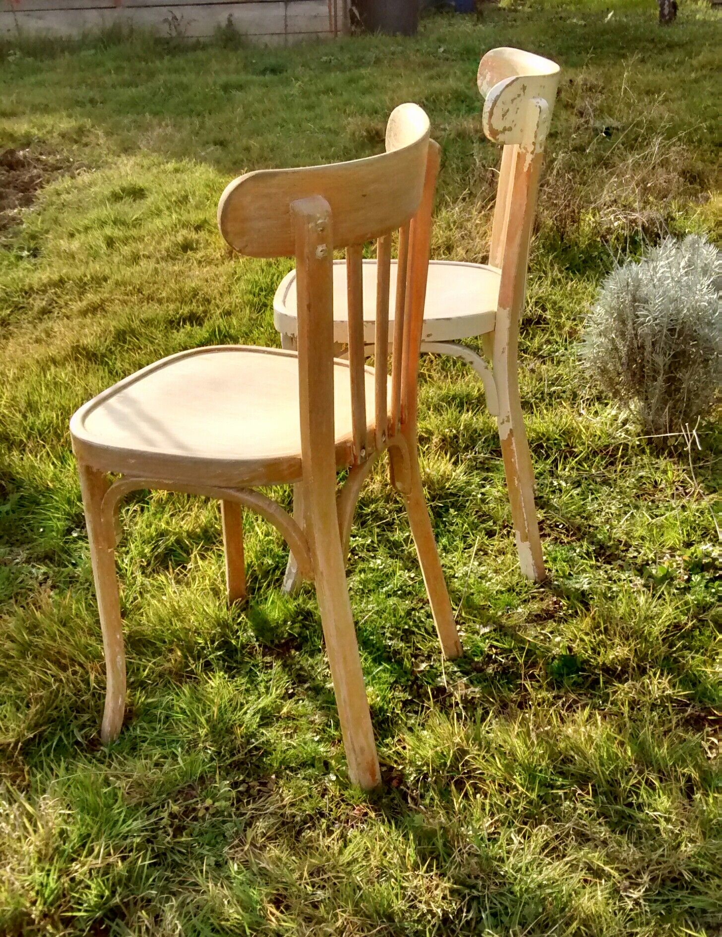 Pair of bistro chairs
