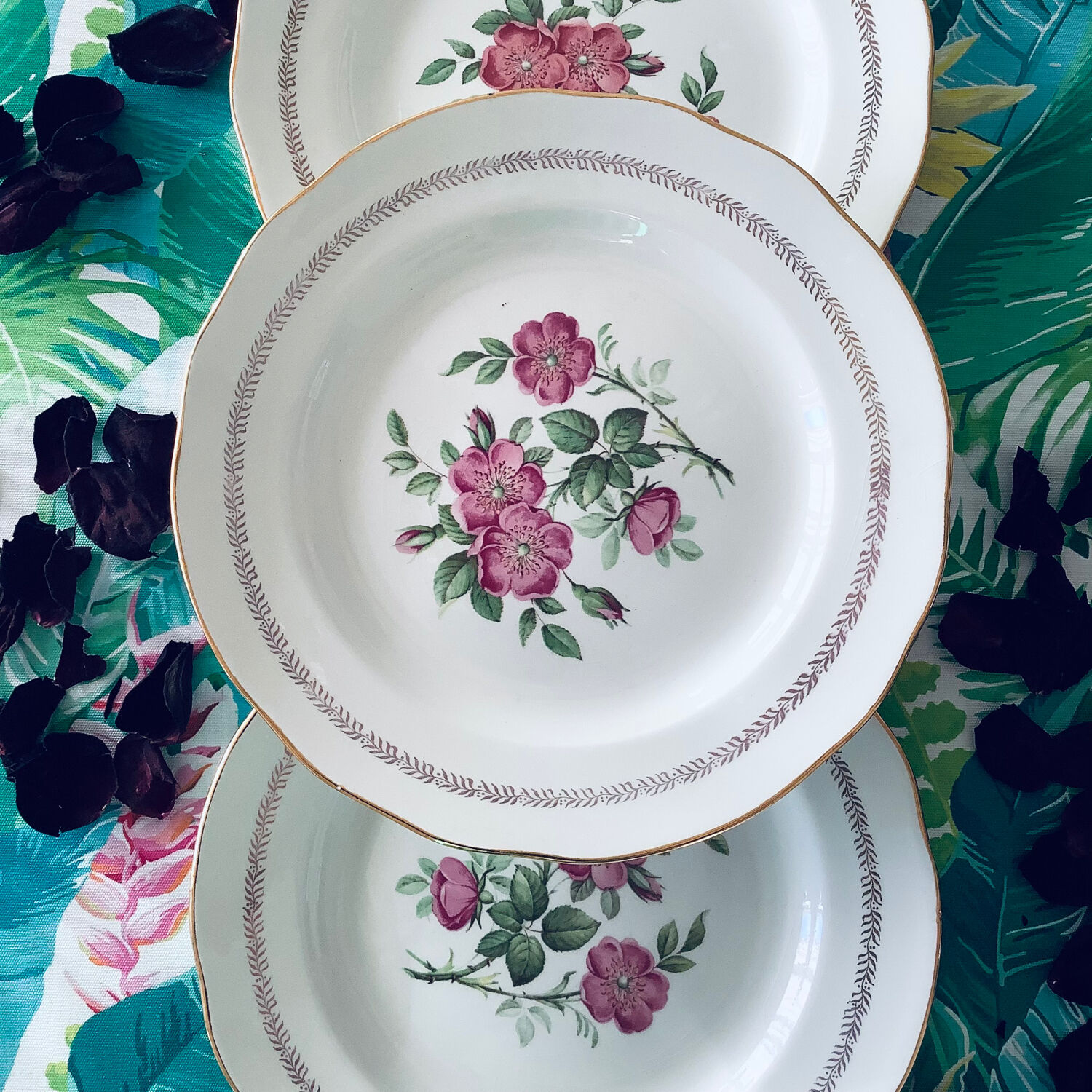 6 assiettes plates
