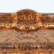 Art Deco Walnut Veneer Buffet, 1940s