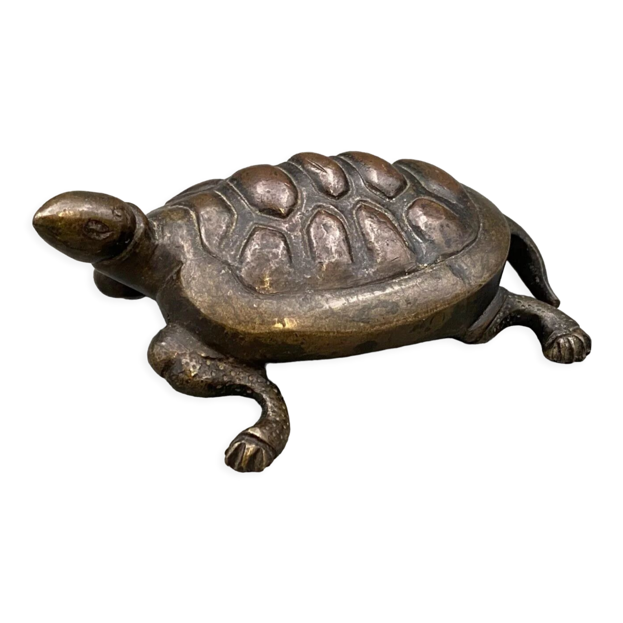 Bronze turtle XIXth Chocolate patina Fine carving